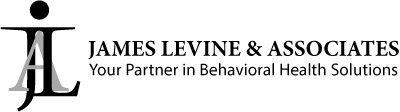 levine The Village Commons Hadley MA